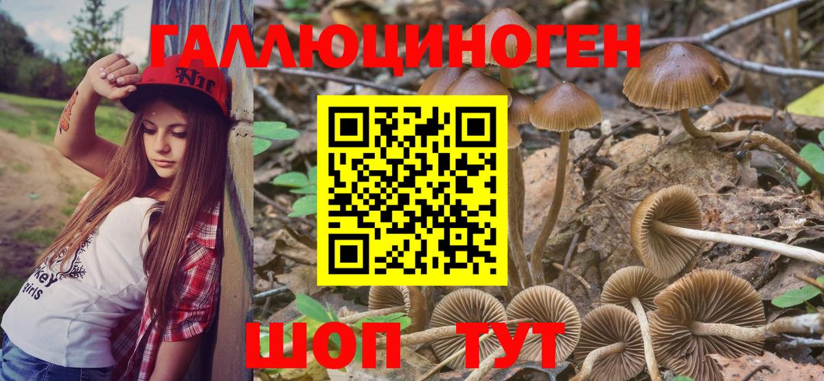 Галлюциногенные грибы Cubensis  Вход с VPN  Галлюциногенные грибы мухоморы  Бирск 